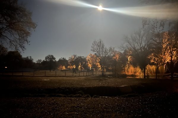 this pitcher showing With Lights Turned-on